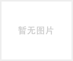 上海外蒙古乌兰巴托大件运输